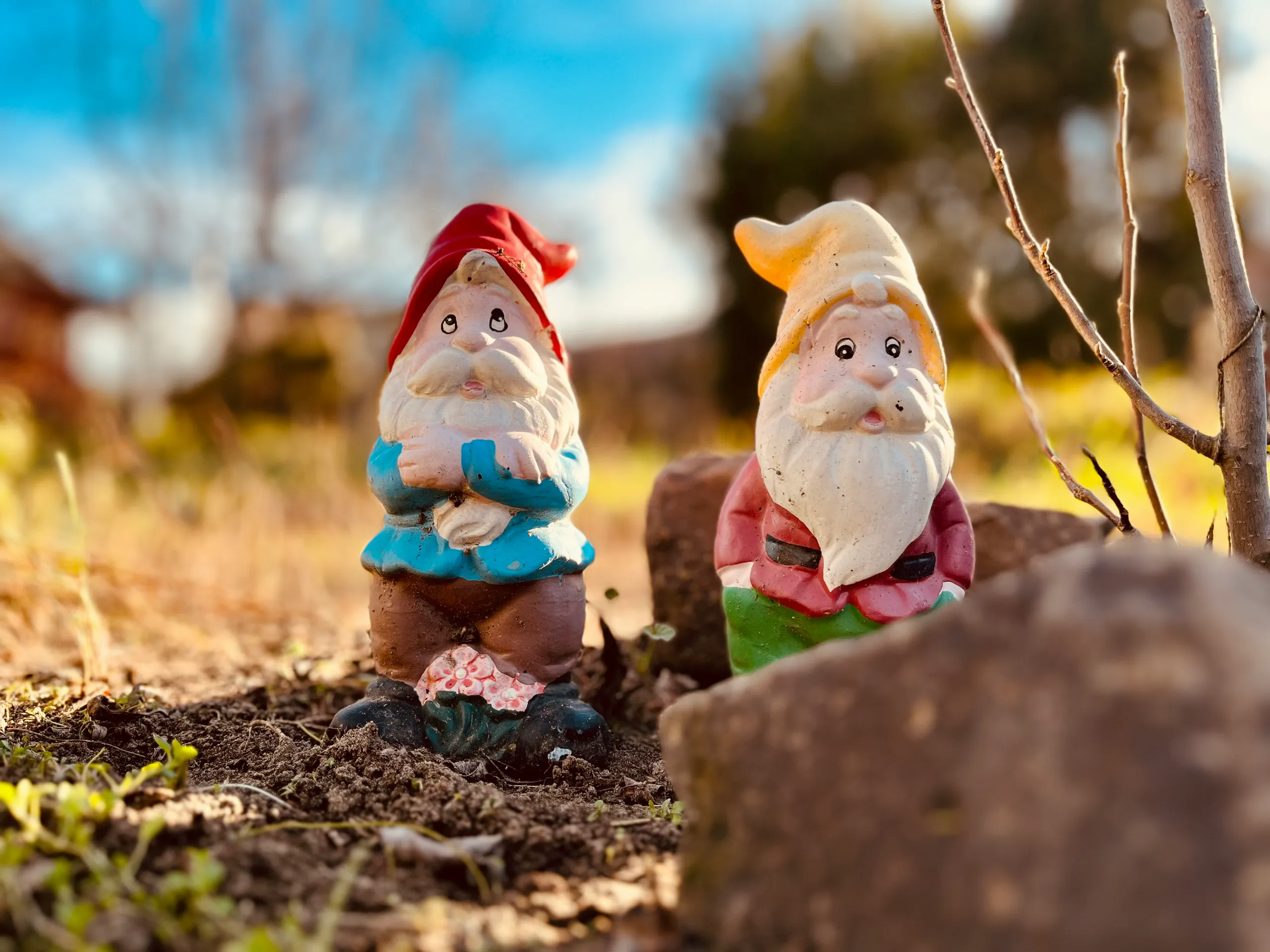 Garden Gnomes Game